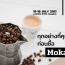 ทุกอย่างที่คุณควรรู้ก่อนซื้อ Moka Pot