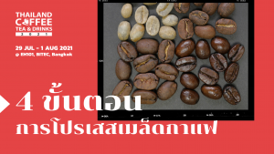 4 ขั้นตอน การโปรเสสเมล็ดกาแฟ