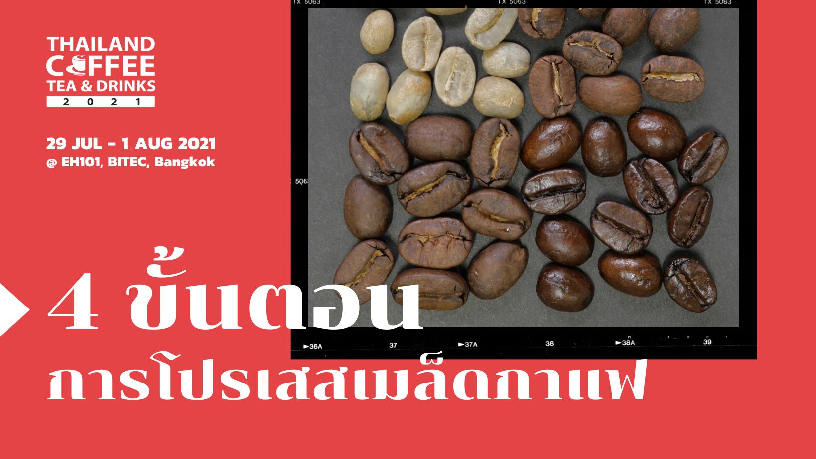 4 ขั้นตอน การโปรเสสเมล็ดกาแฟ